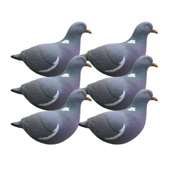 Formes de pigeon actif Last Pass x6