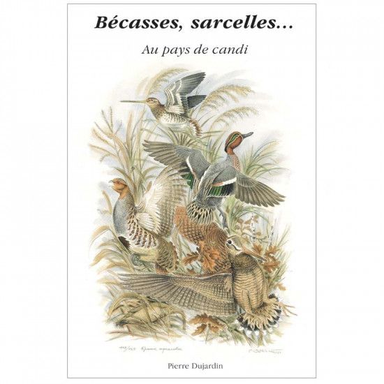Woodcock Book, Teal in the...