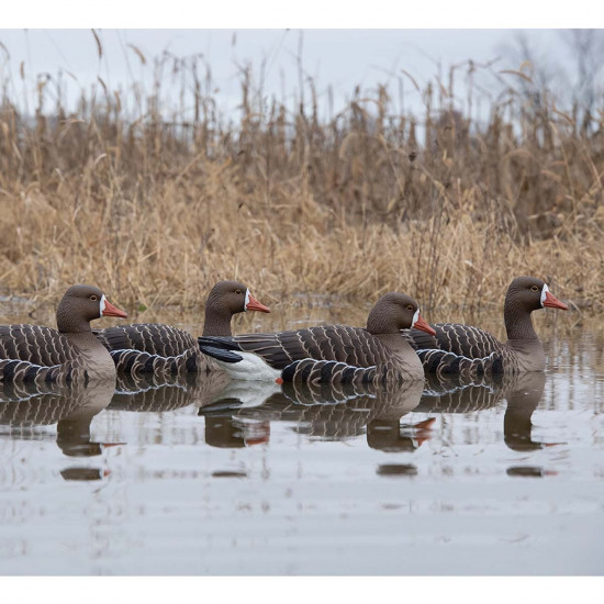 AvianX Floating Laughing...