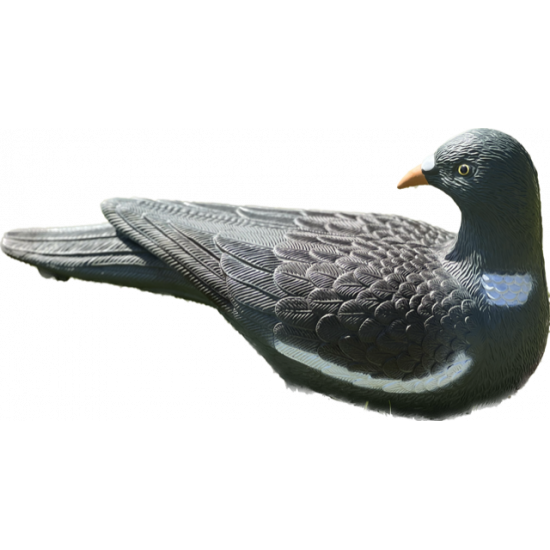 Forme de pigeon guetteur x 12