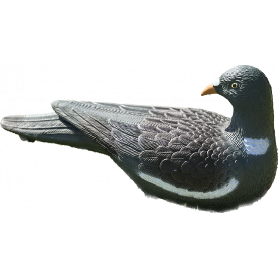 Pigeon lookout shape x 12
