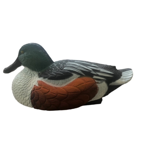 Calling Souchet HD Duck...