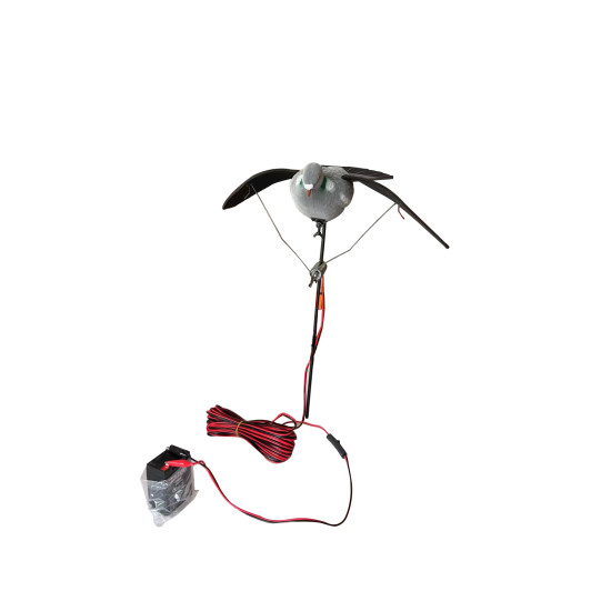 Electric flapping wing...