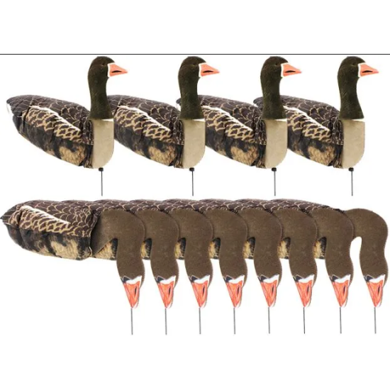 12-pack of Sillosocks...