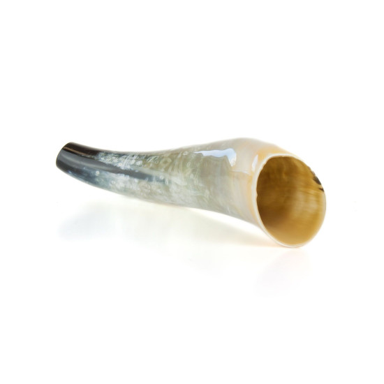 Deer call made of horn