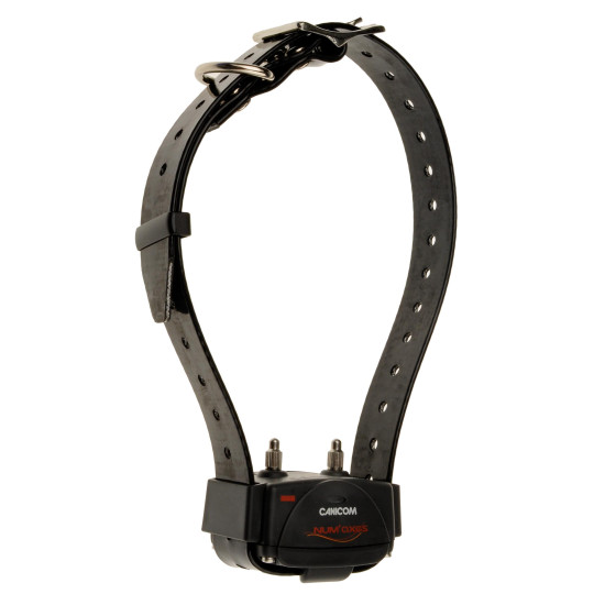 Additional Collar for...