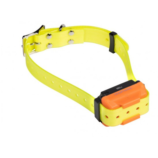 Training Collar