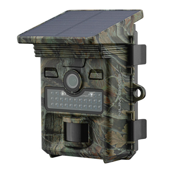Trail Camera