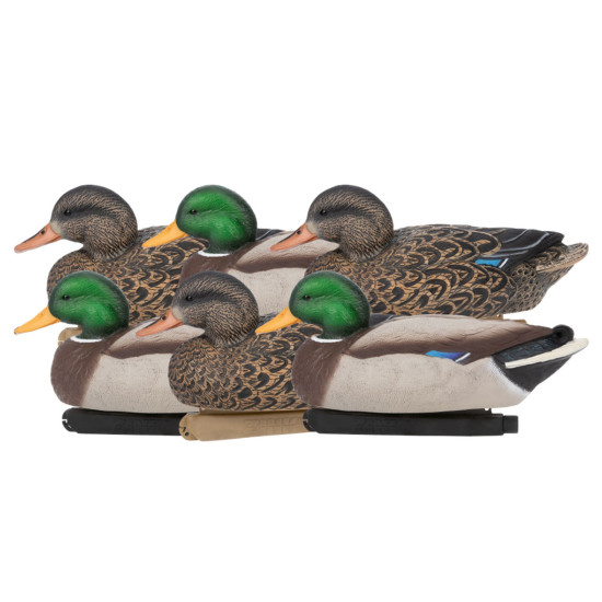 Blette de 6 colverts Zink