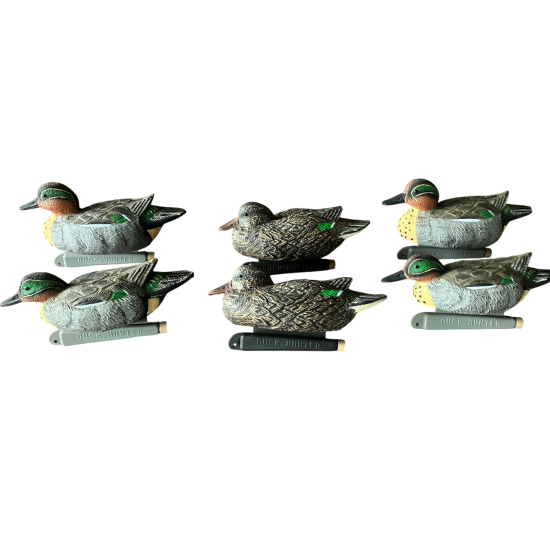 Blette de sarcelle Duck...