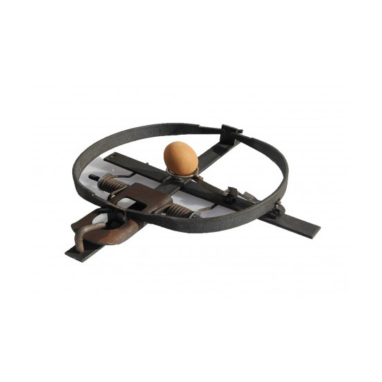 Piège à Œuf 25cm contre les...
