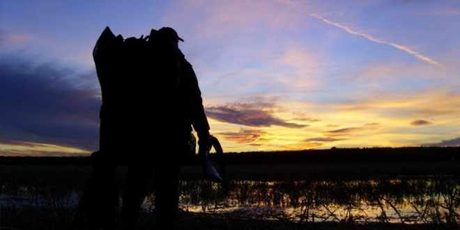 Que faire durant l'intersaison de chasse