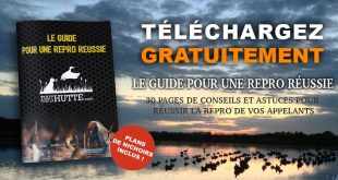Le guide pour une repro réussie