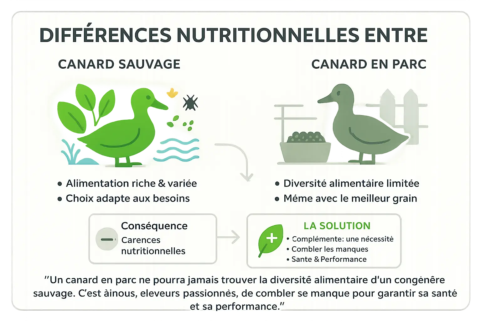 Comparaison nutrition canard sauvage vs parc