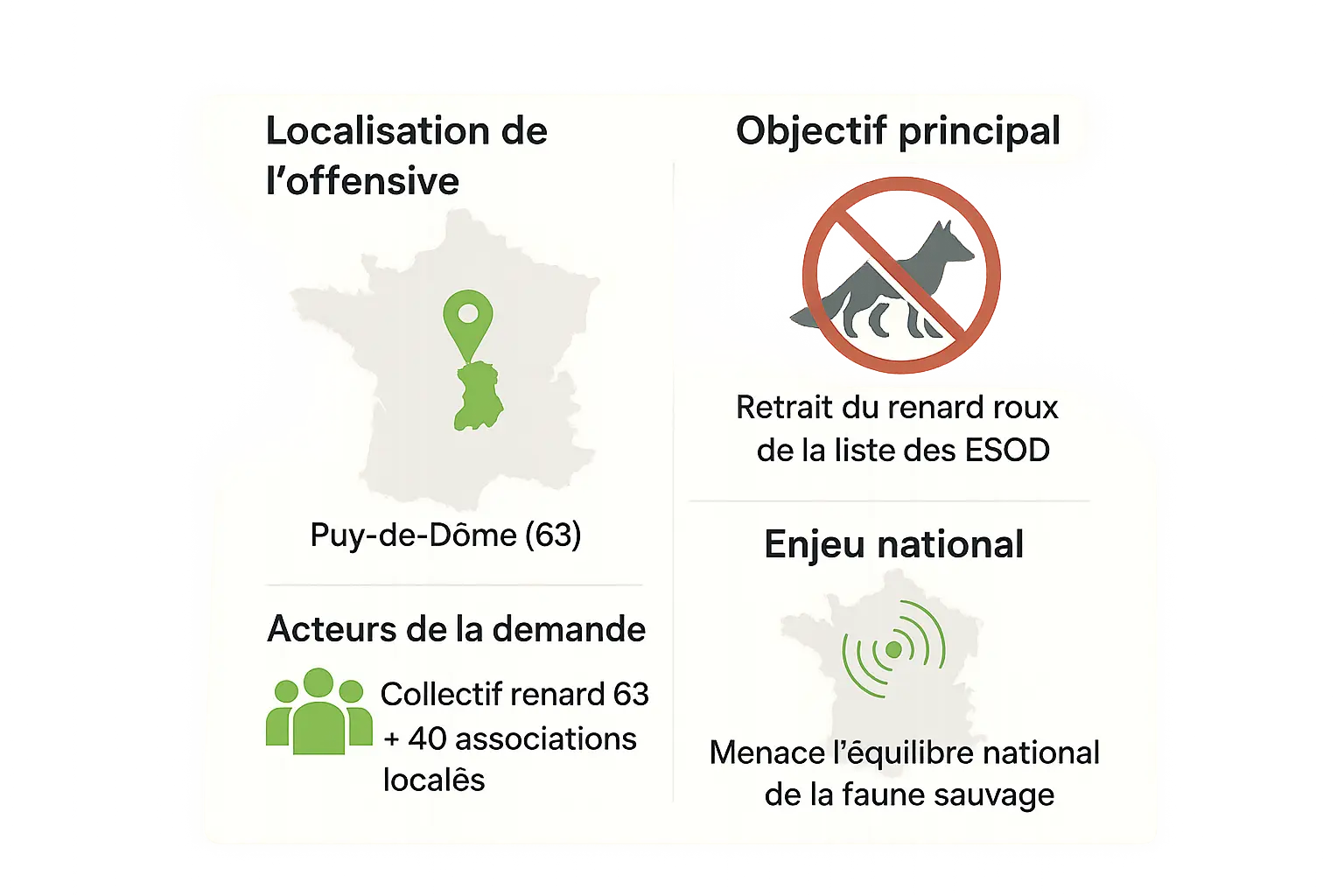 Renard dans un champ au Puy-de-Dôme