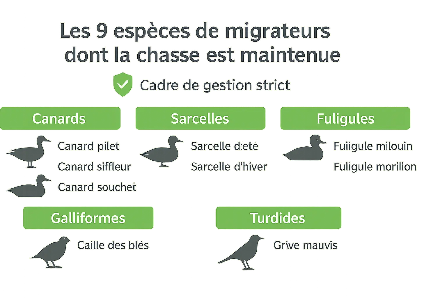 Chasse maintenue : les 9 espèces de migrateurs concernées