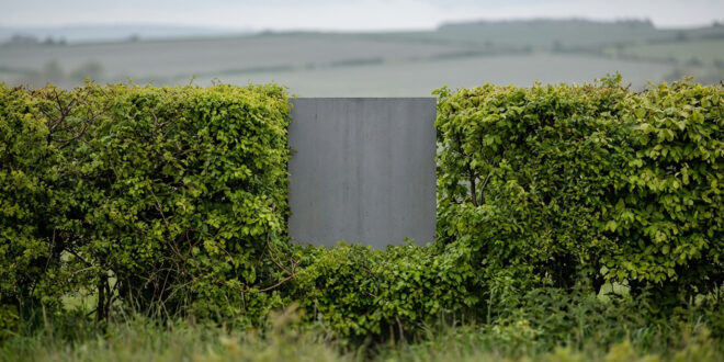 Nouveau décret arrachage haies : un permis de détruire ?