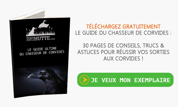 Le guide du chasseur de corbeaux