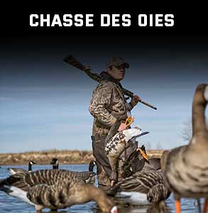 ico-chasse-oies.jpg