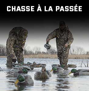 ico-chasse-passee.jpg